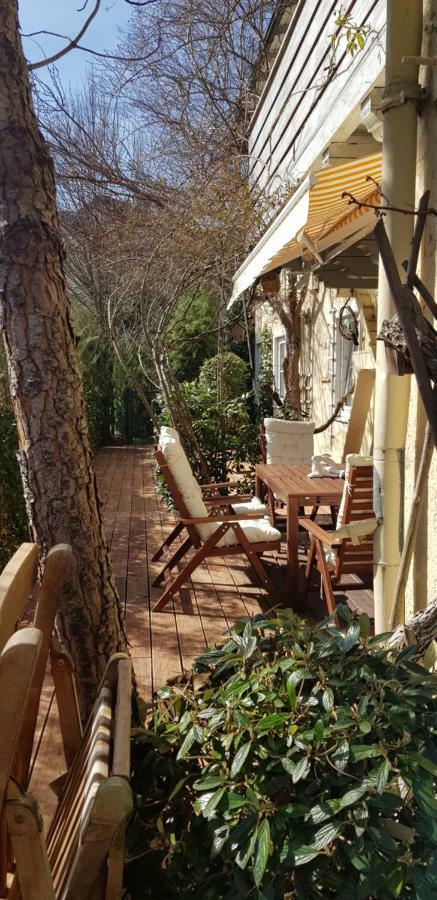 Villa Maxglan Salzburg Exterior foto
